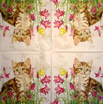 KAT-378 Cats - 3-ply - Ihr